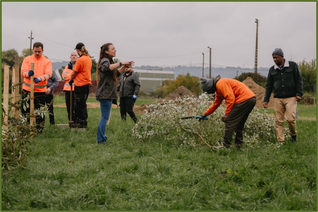 Les 6R au jardin – Vers un jardin zéro déchet, formation pratique et digital - Aménagement des haies sèches
