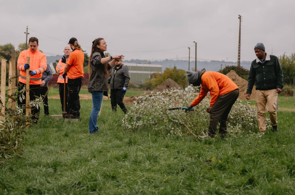 Les 6R au jardin – Vers un jardin zéro déchet, formation pratique et digital - Aménagement des haies sèches