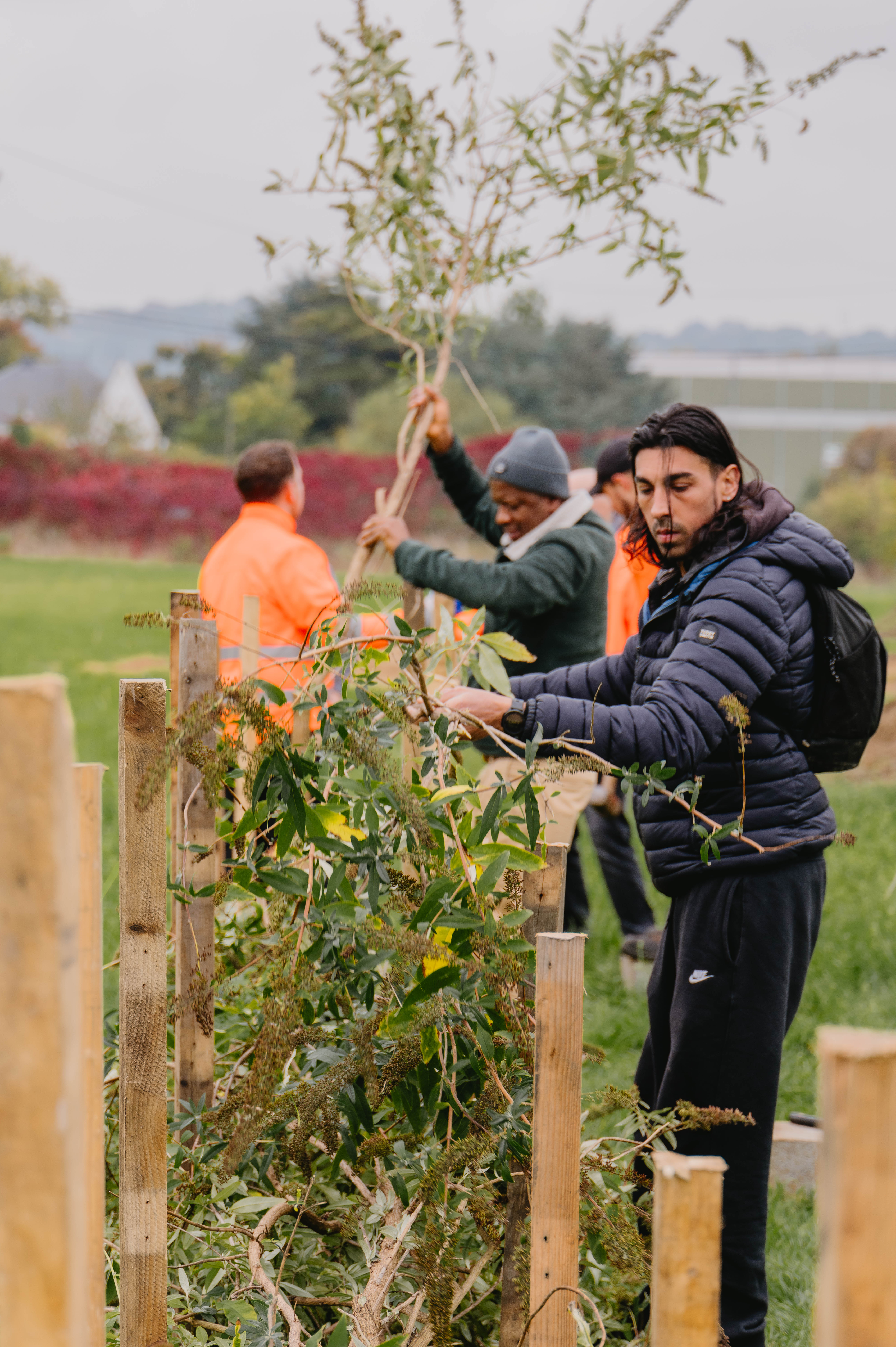 Le Festival Ressources : résilience et durabilité - Chantier participatif - Haies sèches