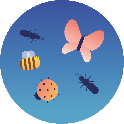 Boite à outils - Accueil des pollinisateurs