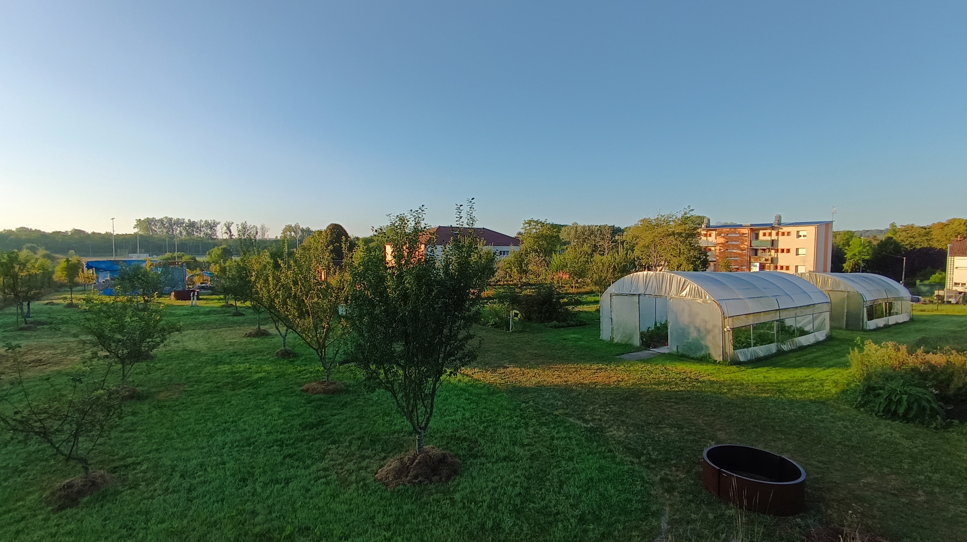 Site du Jardin du Partage Sarreguemines