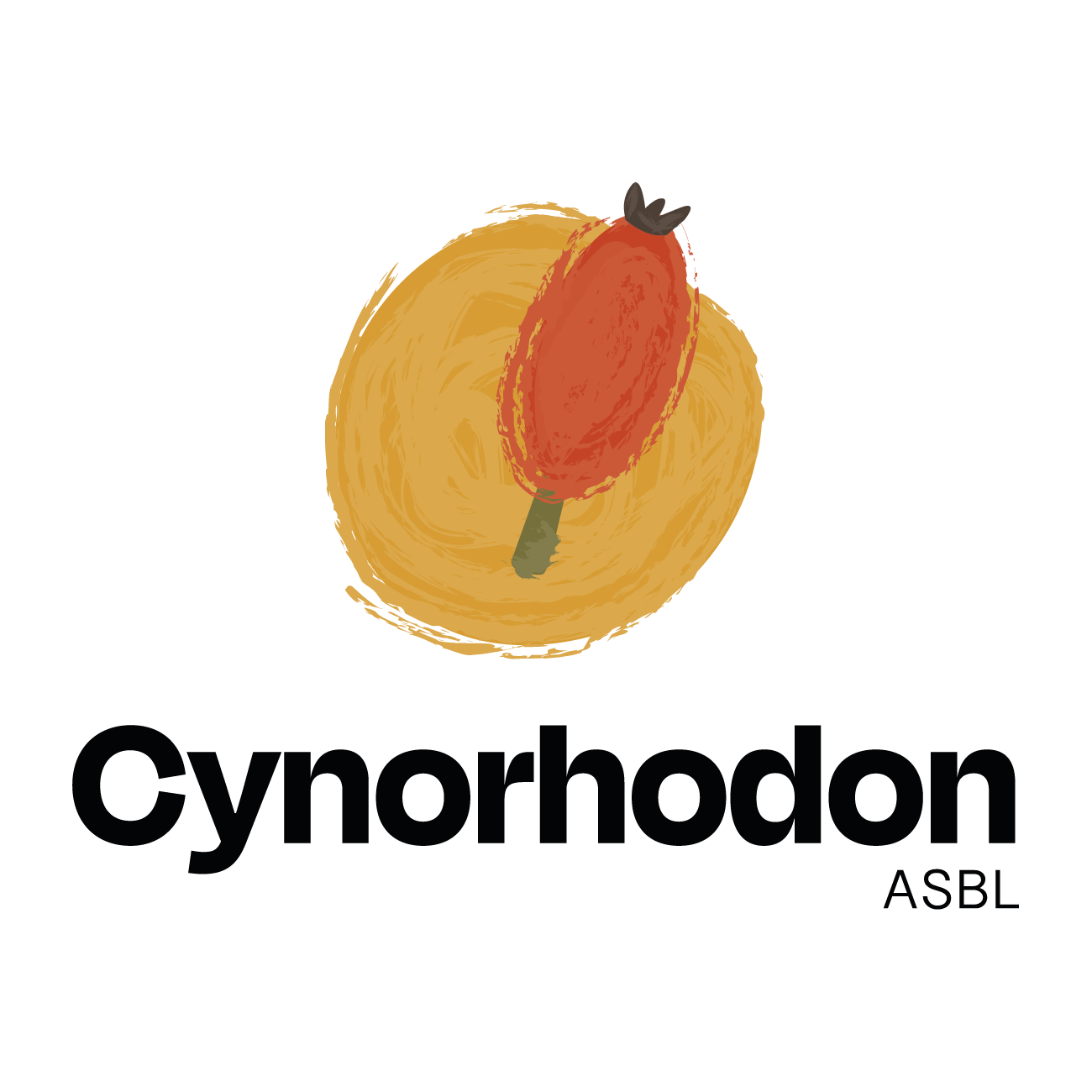 Cynorhodon